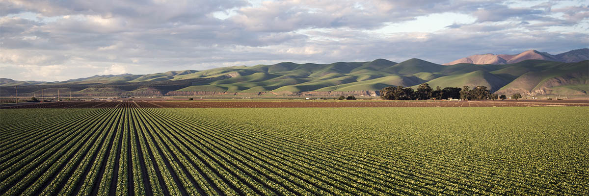 Contabilidade para fazenda Contabilidade para fazenda